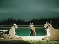 עיסוי מרוצה לזיין את הכוס הצמוד סרטים פונוגרפים בחינם והבחור שלי השתמשו בקטרינה ג'ייד החרדנית