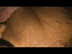 איש עם ציצים סרטיםxnxx טבעיים ענקיים רוכב על שוטרים