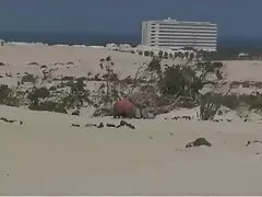 ליירה לוקהארט סרטים ארוטים לצפיה ישירה התכופפה לקחת את הזין של בילי