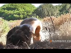 אחיות חורגות ג'ינג'יות מלקקות את סרטי סקס לצפיה חינם חברן הג'ינג'י בישיבה